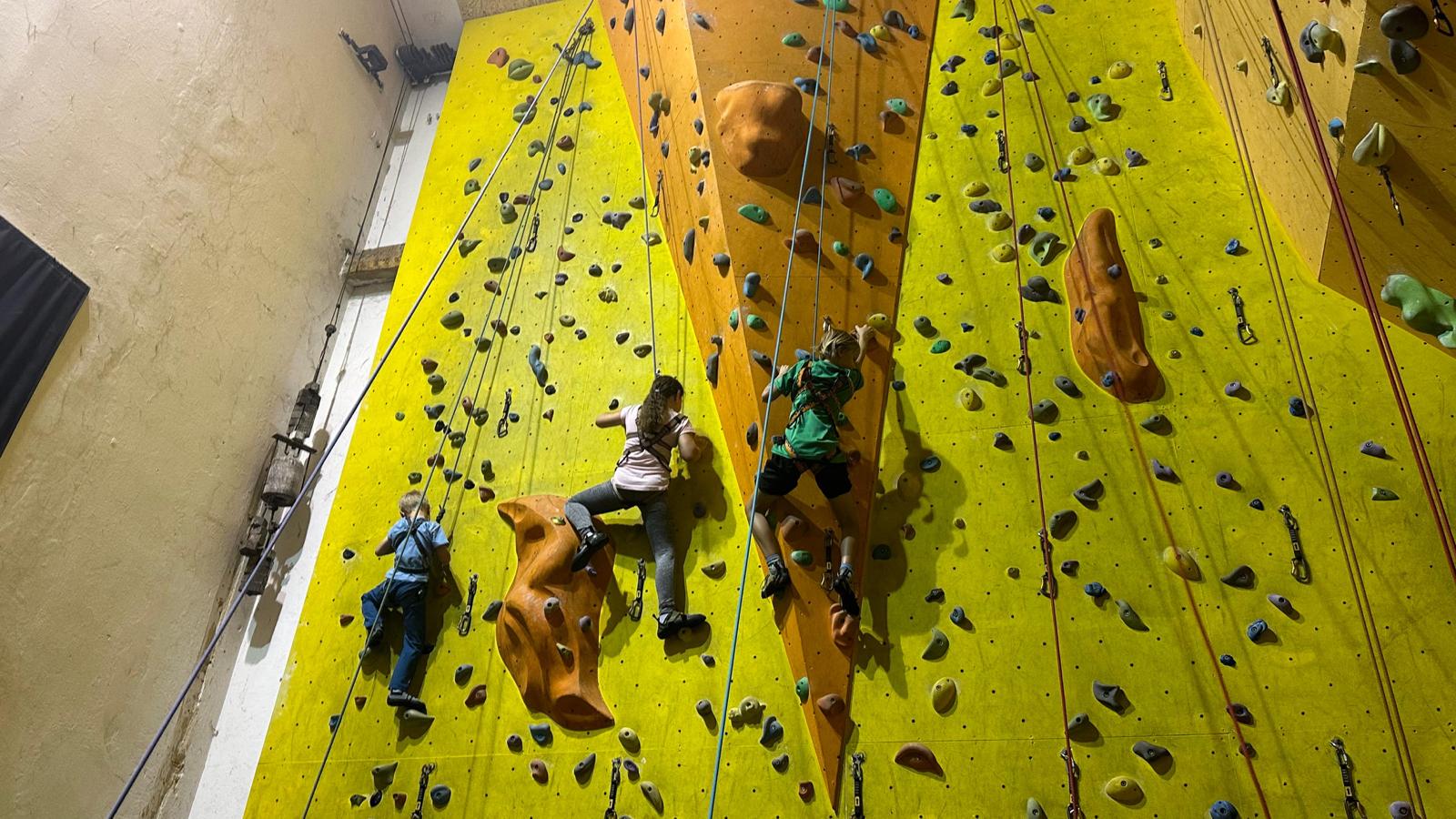 Děti na letním parkour táboře lezou v popruzích po velké lezecké stěně.