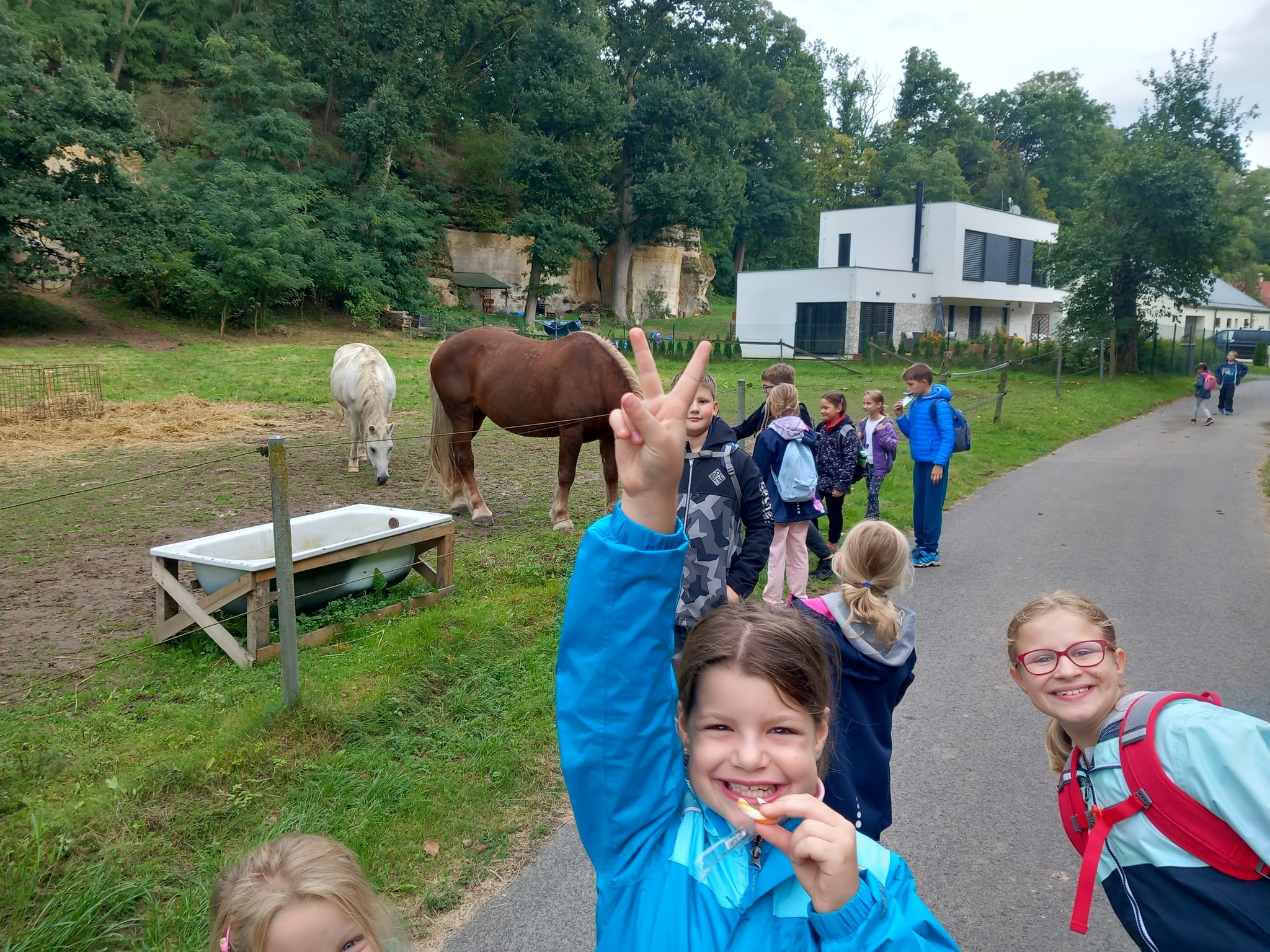 Děti na táboře s koňmi na procházce v přírodě.