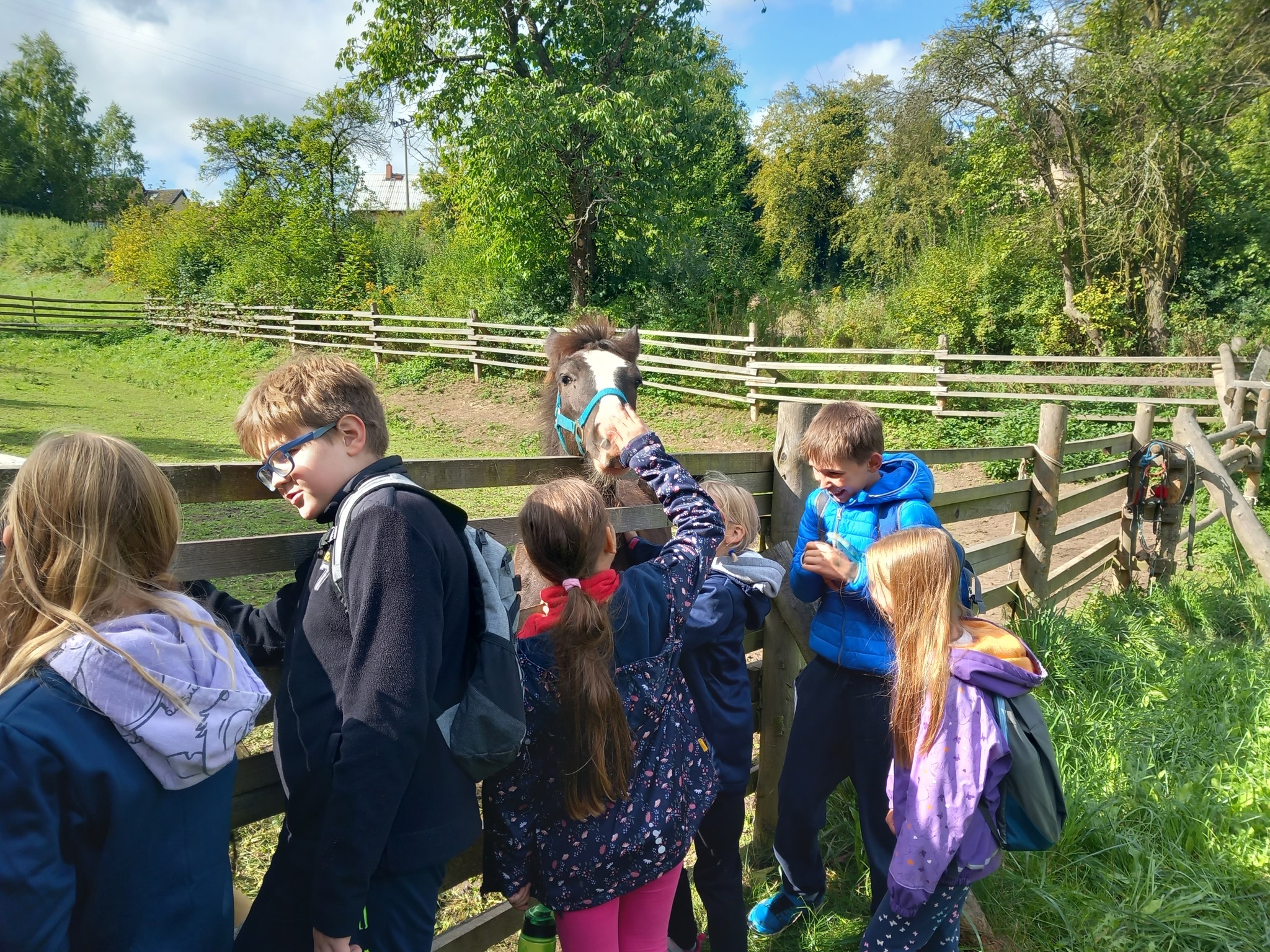Děti na letním táboře s koňmi si hladí koně na procházce v přírodě.