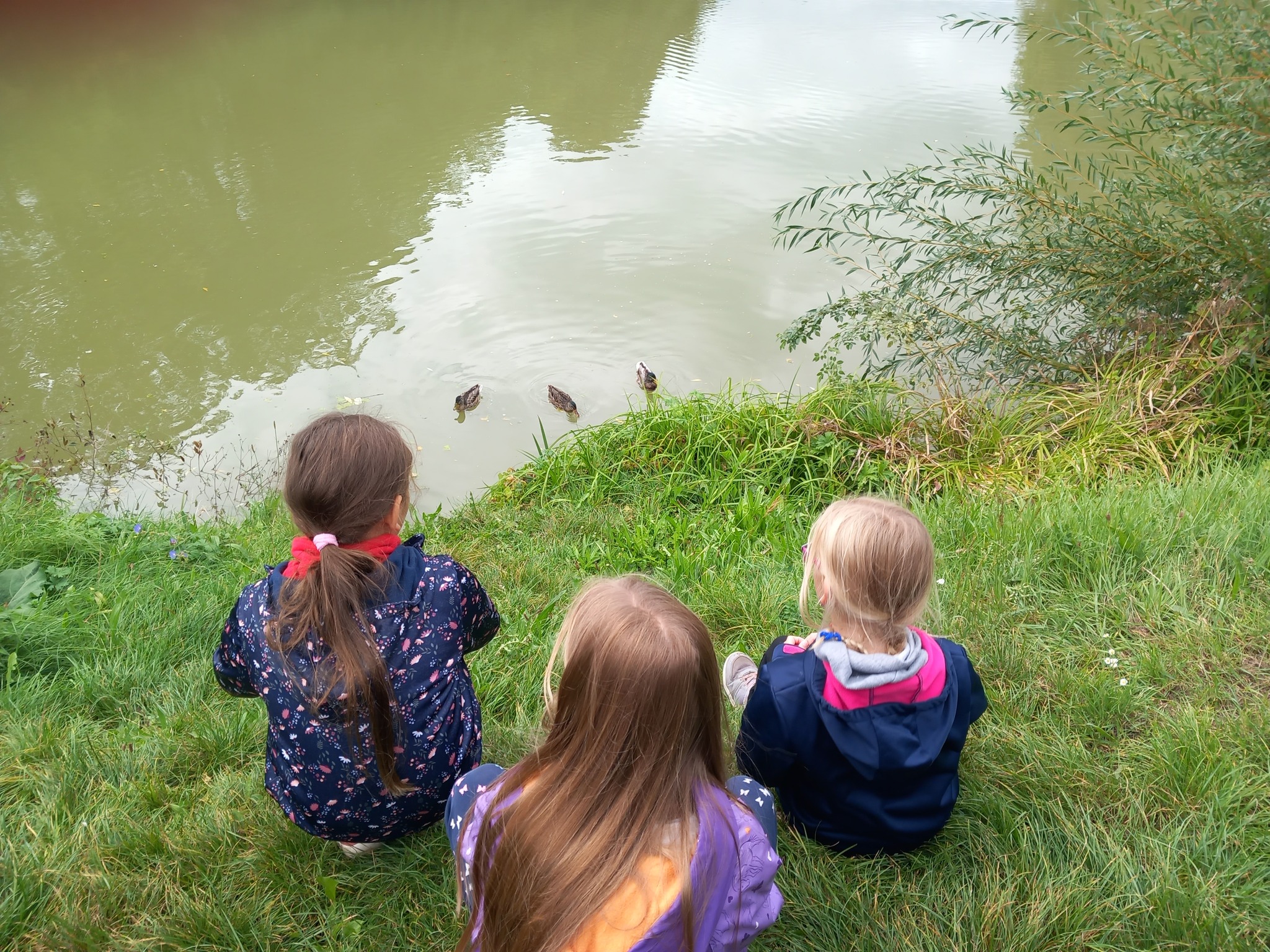 Děti pozorují kachny na letním dětském táboře v přírodě u jezera.
